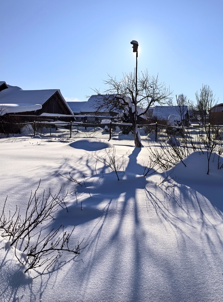 В ожидании птичек...
