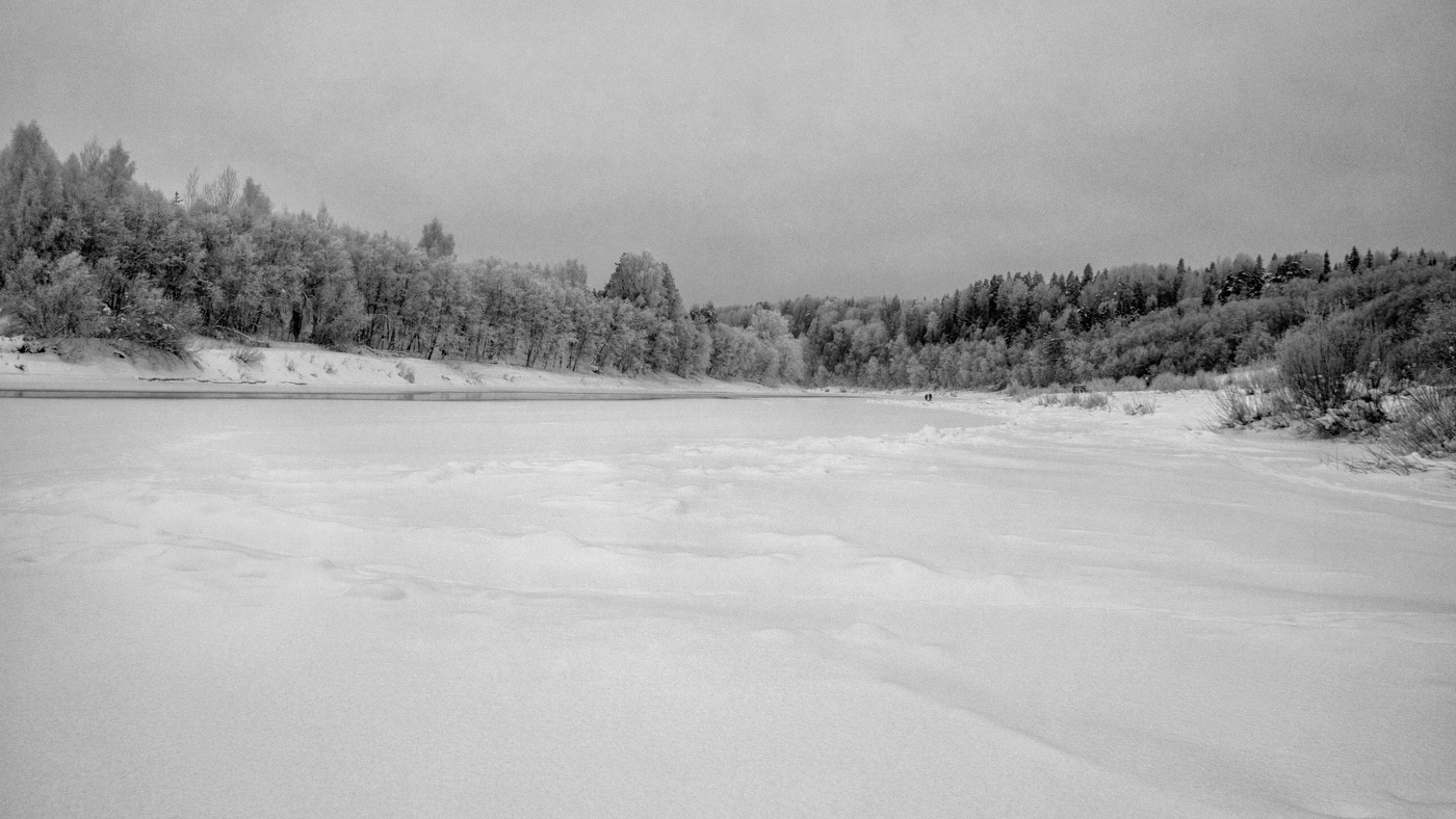 Жизнь вокруг