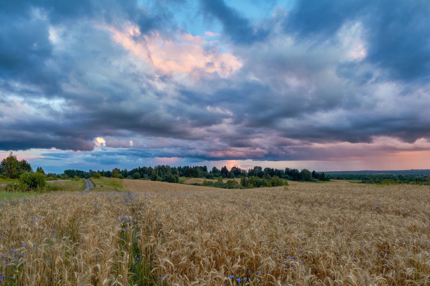 Родные просторы