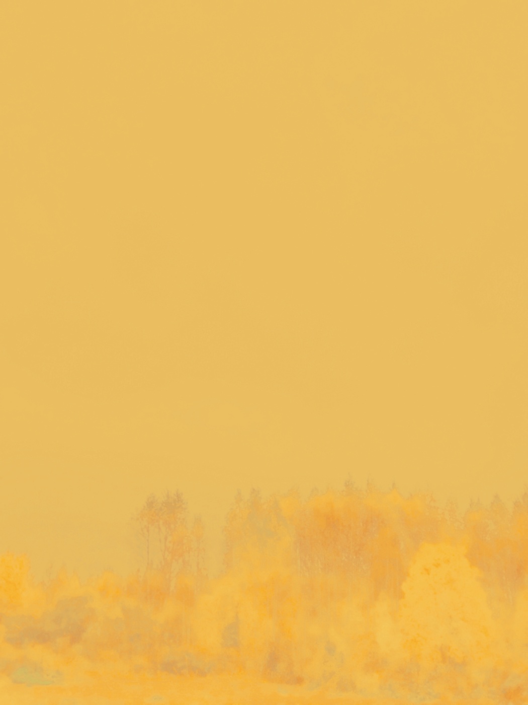 туман снаружи и внутри