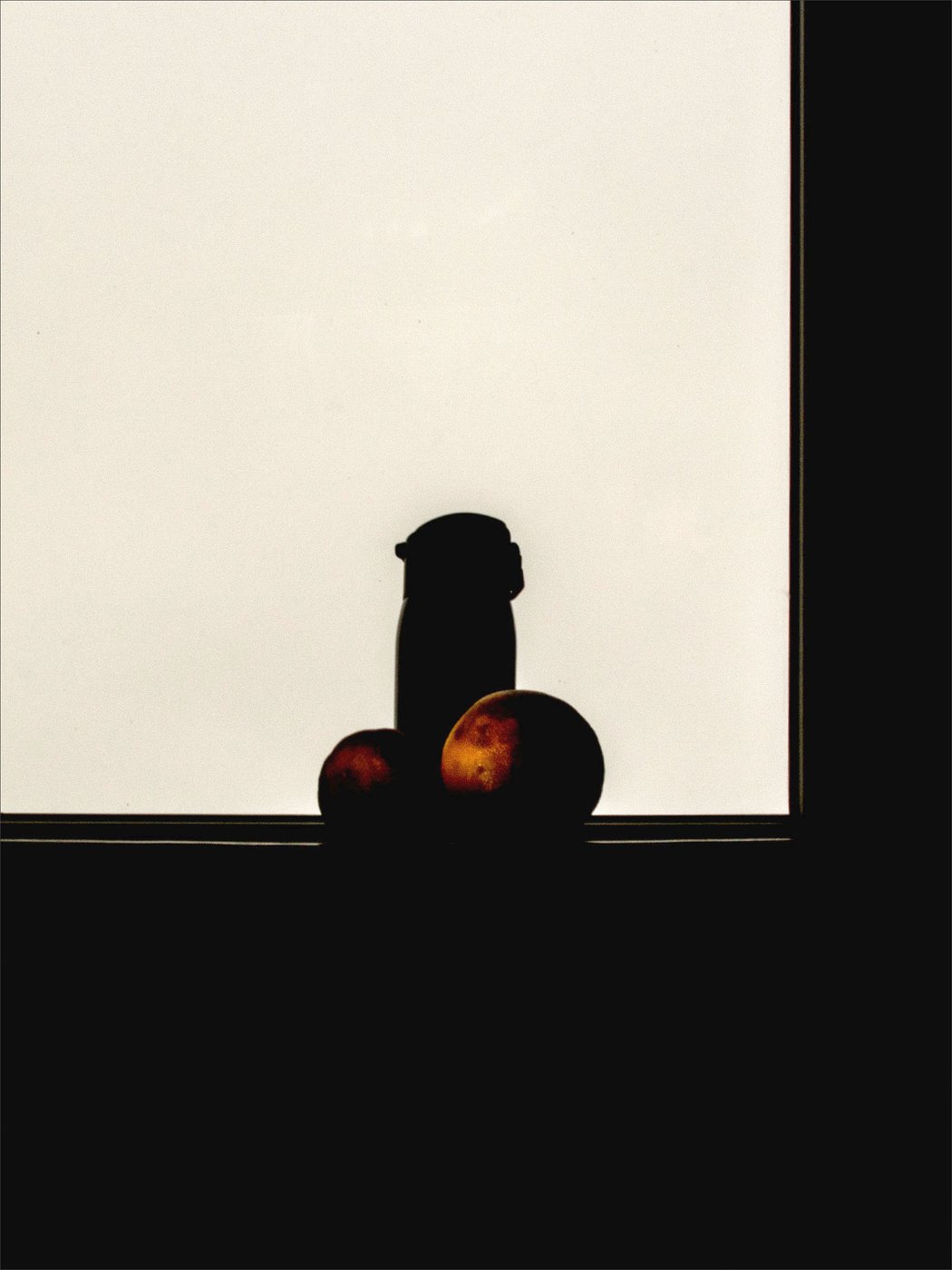 Жизнь вокруг