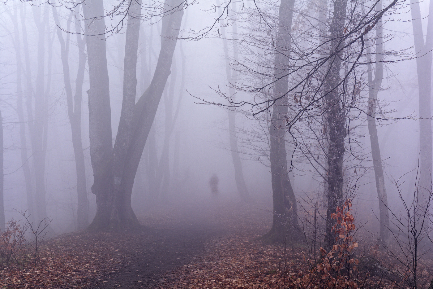 Одиночество