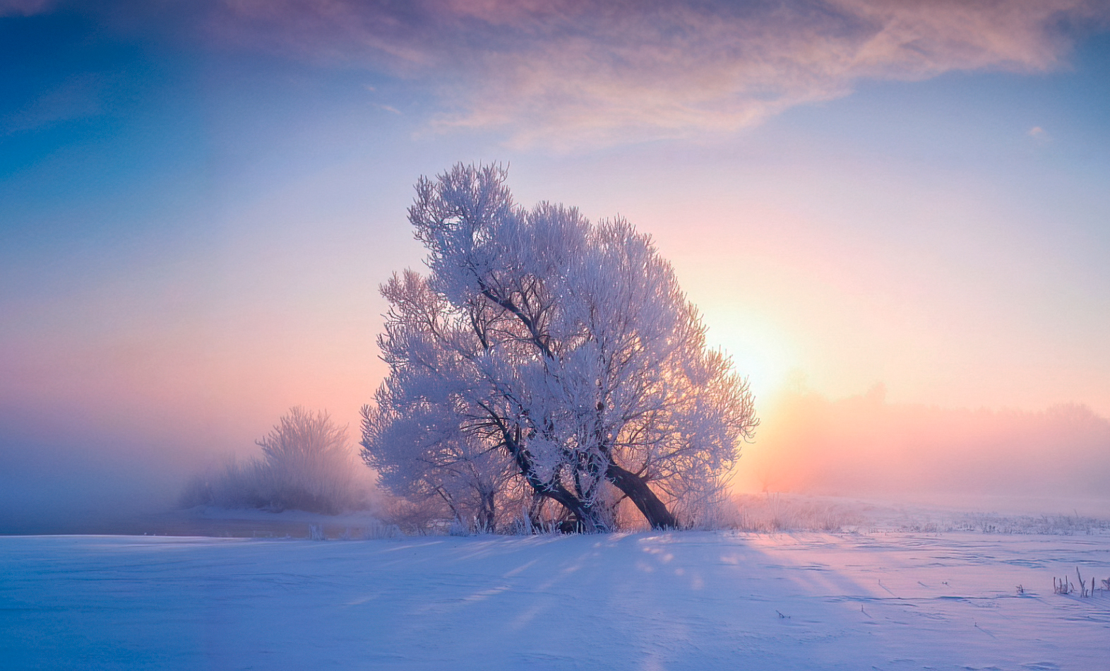 Морозный рассвет