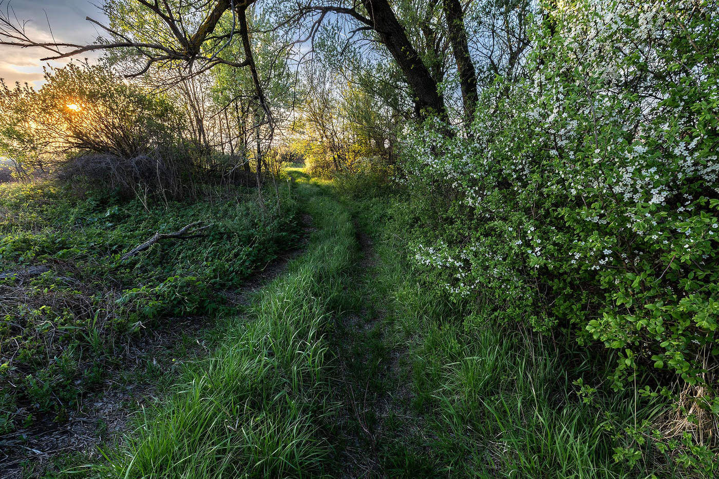 На неведомых дорожках