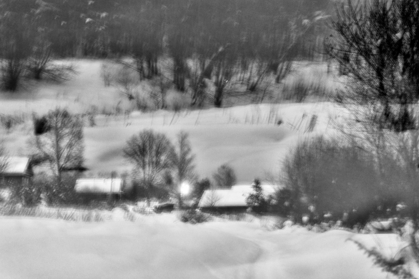 Жизнь вокруг