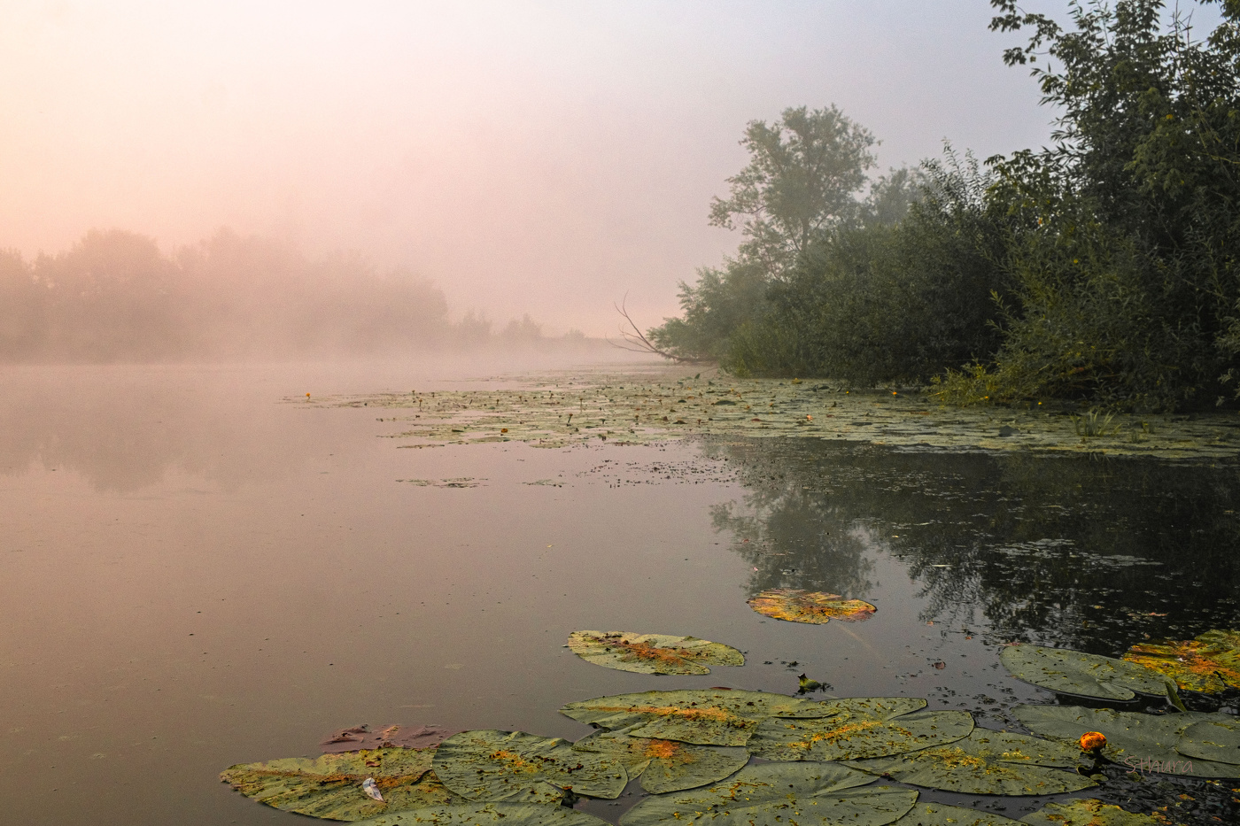 Лето. Август.