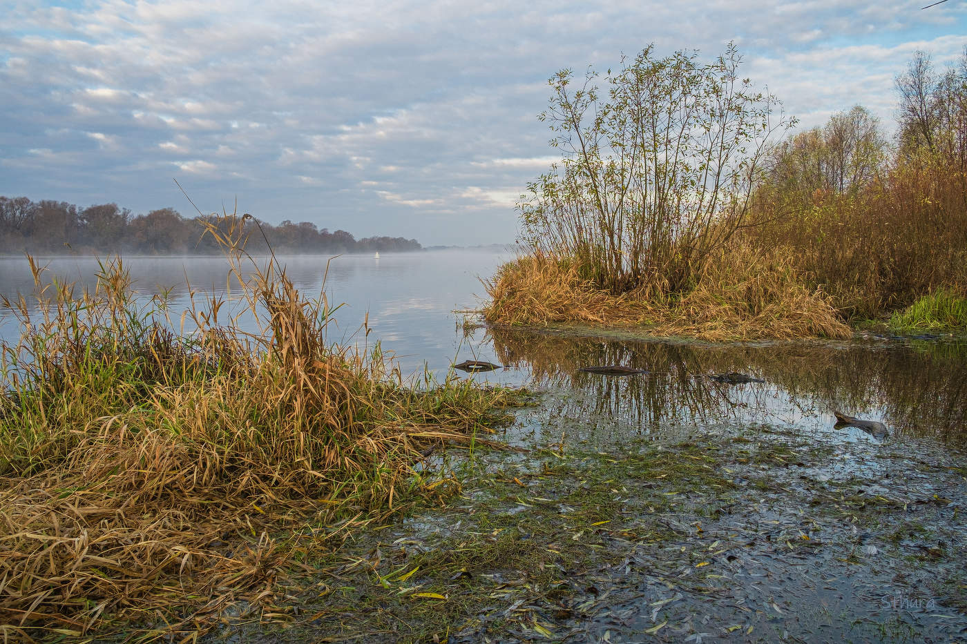 Осень на Оке.
