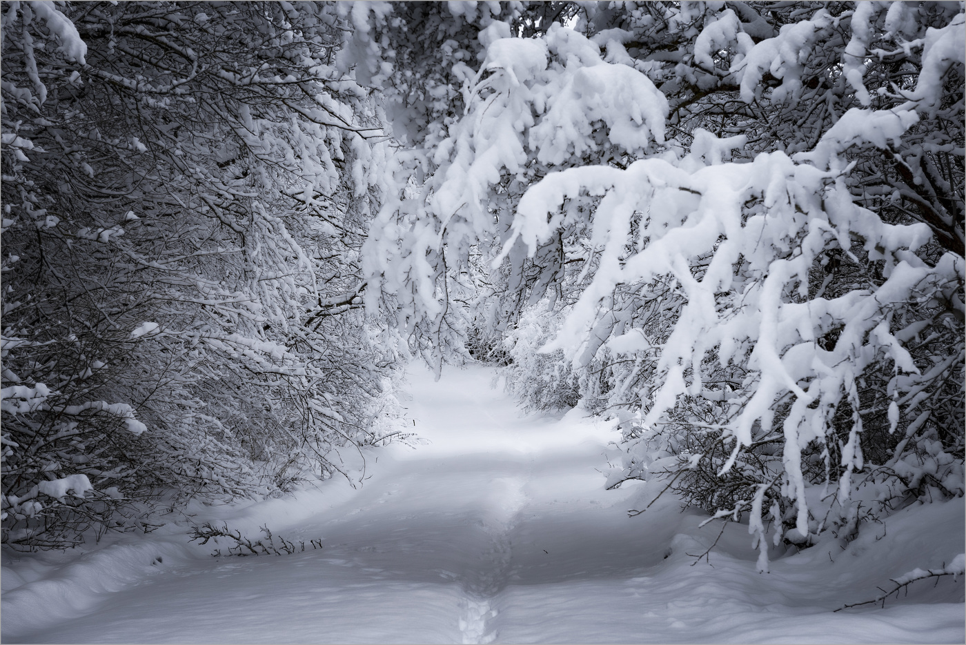 Зимний день