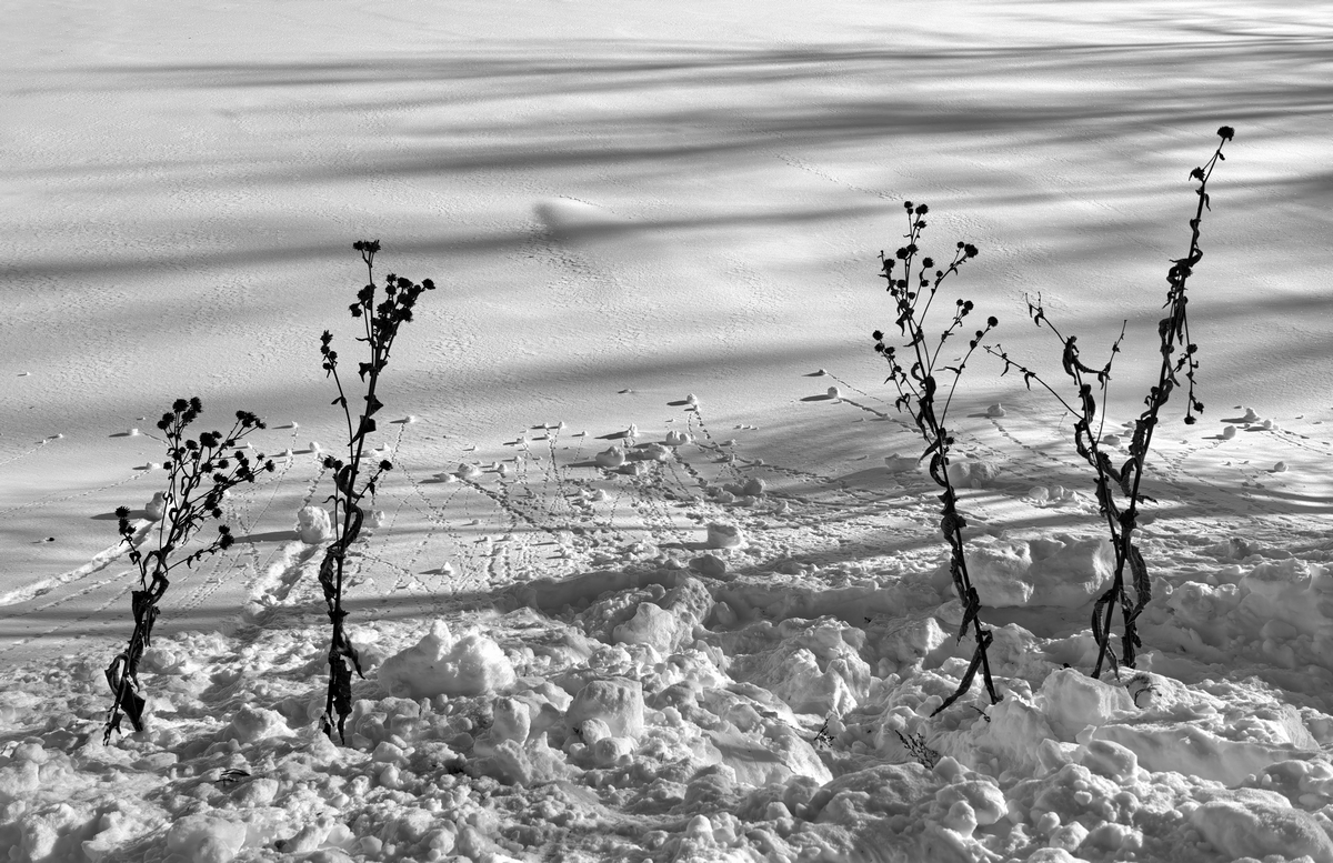 Танцы на снегу...