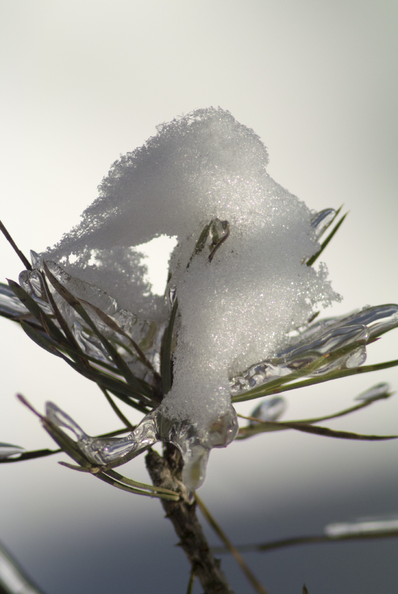 Состояния воды