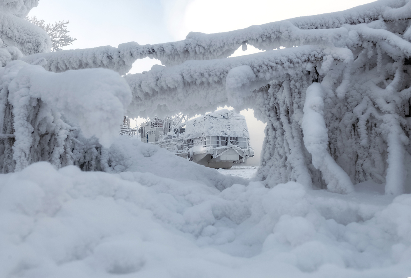 Картины зимы