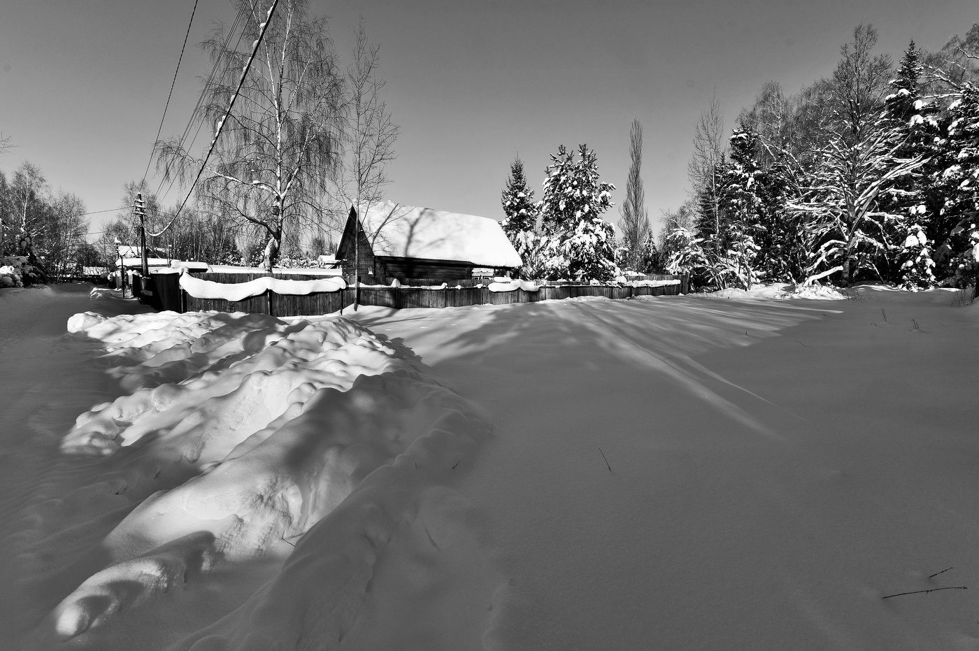 "Черно-белая зима: цвета нет, лишь свет и тень ..."