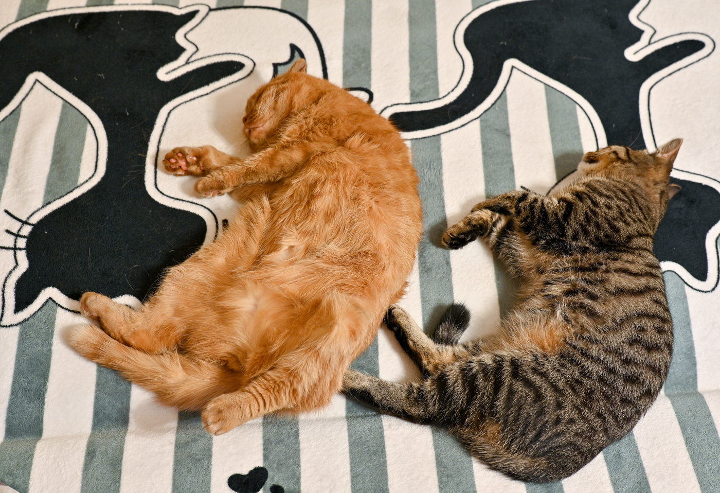 Стар и млад