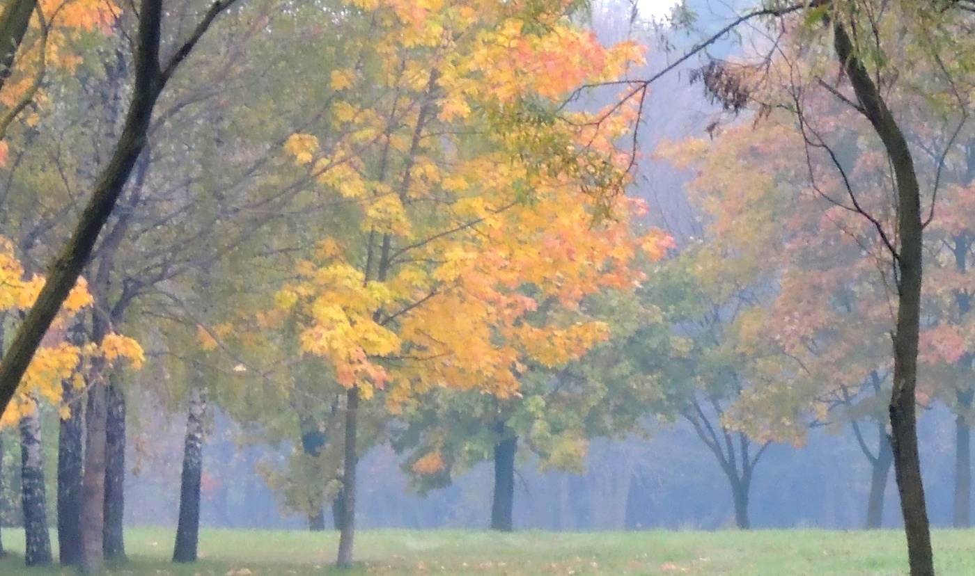 Туманная осень