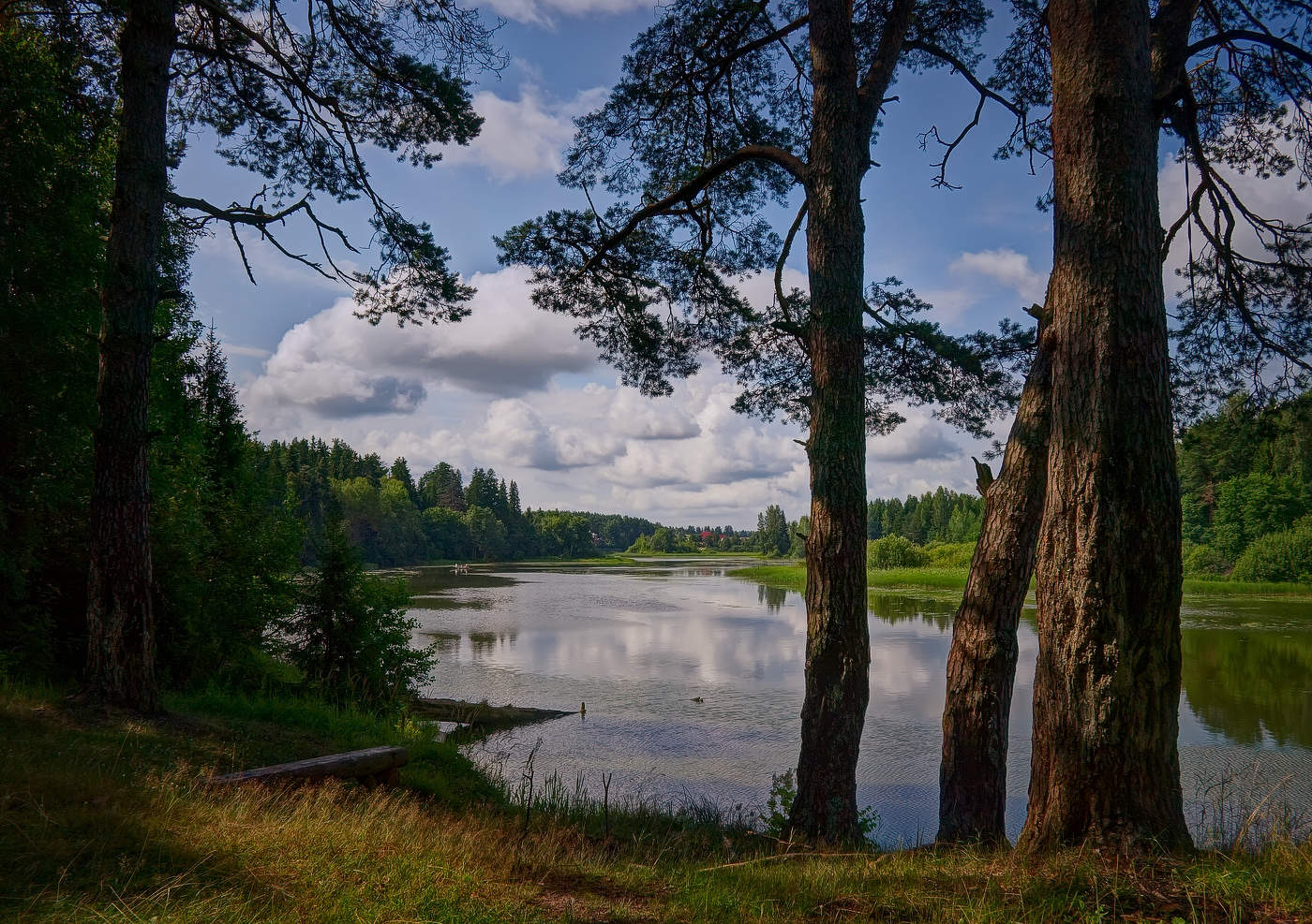 Летний день