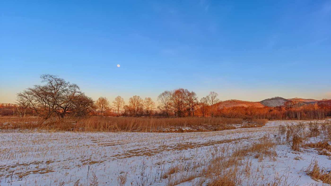 Вечер в полях