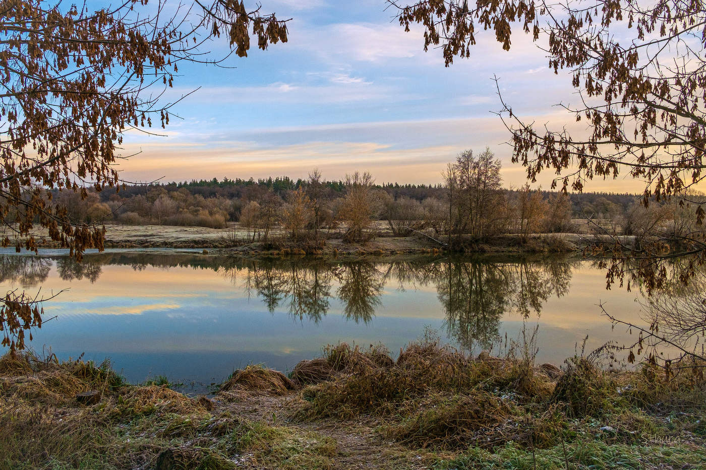 В середине ноября.
