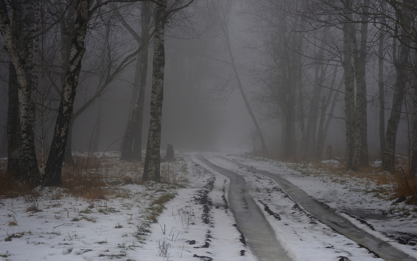 Туманное утро