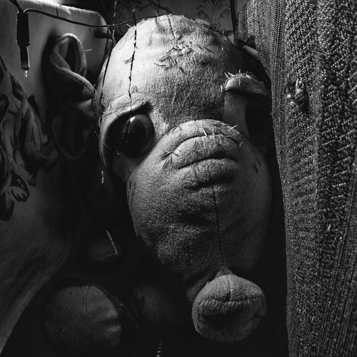 Жизнь вокруг