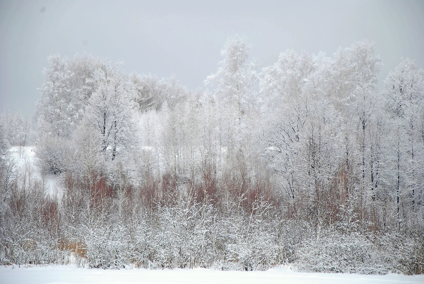 Просто это - Зима!