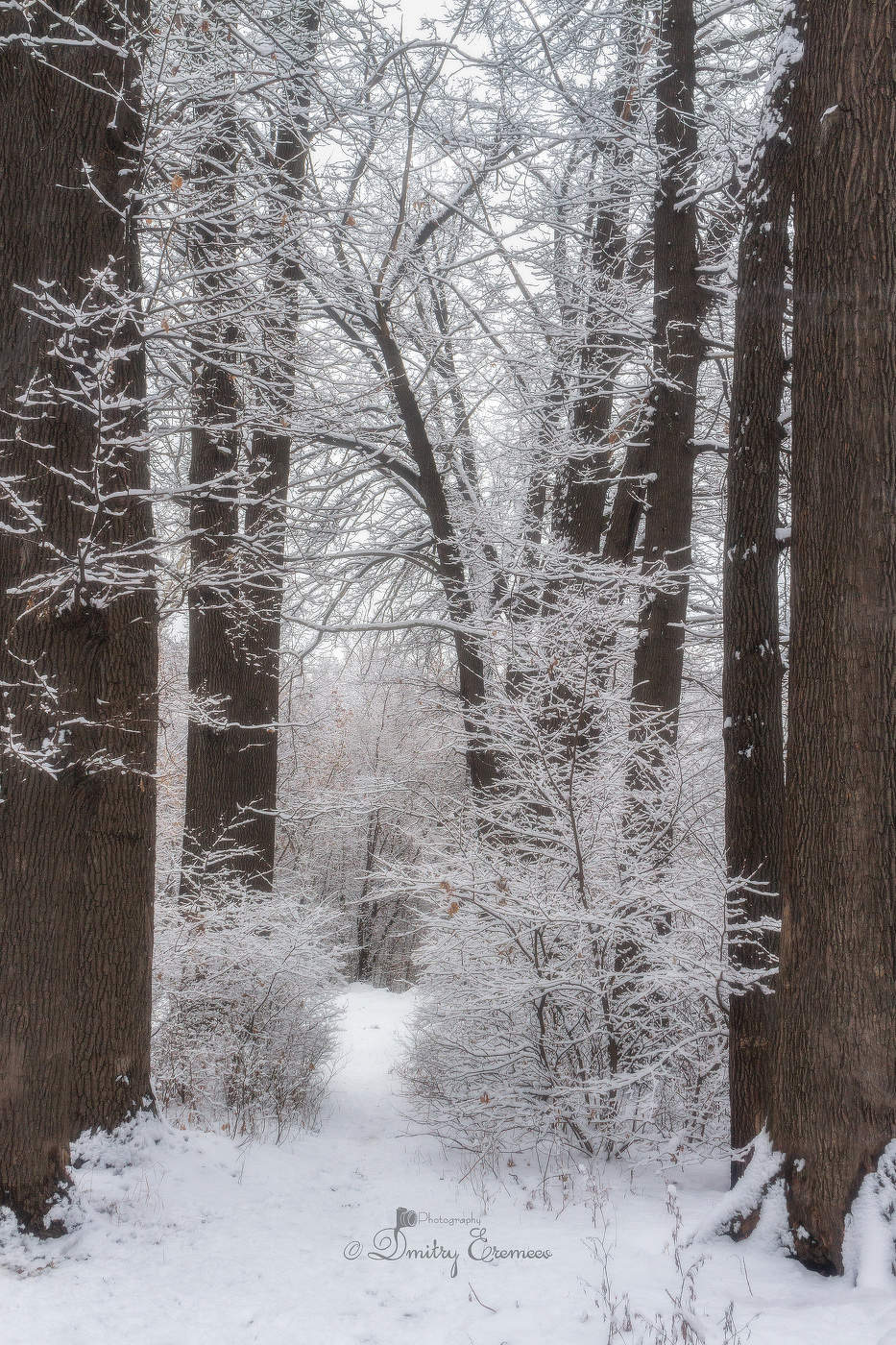 В объятиях зимы...