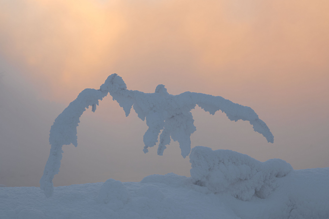 Взлетая над рекой.