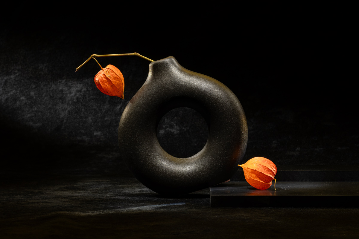 Этюд с физалисом IX