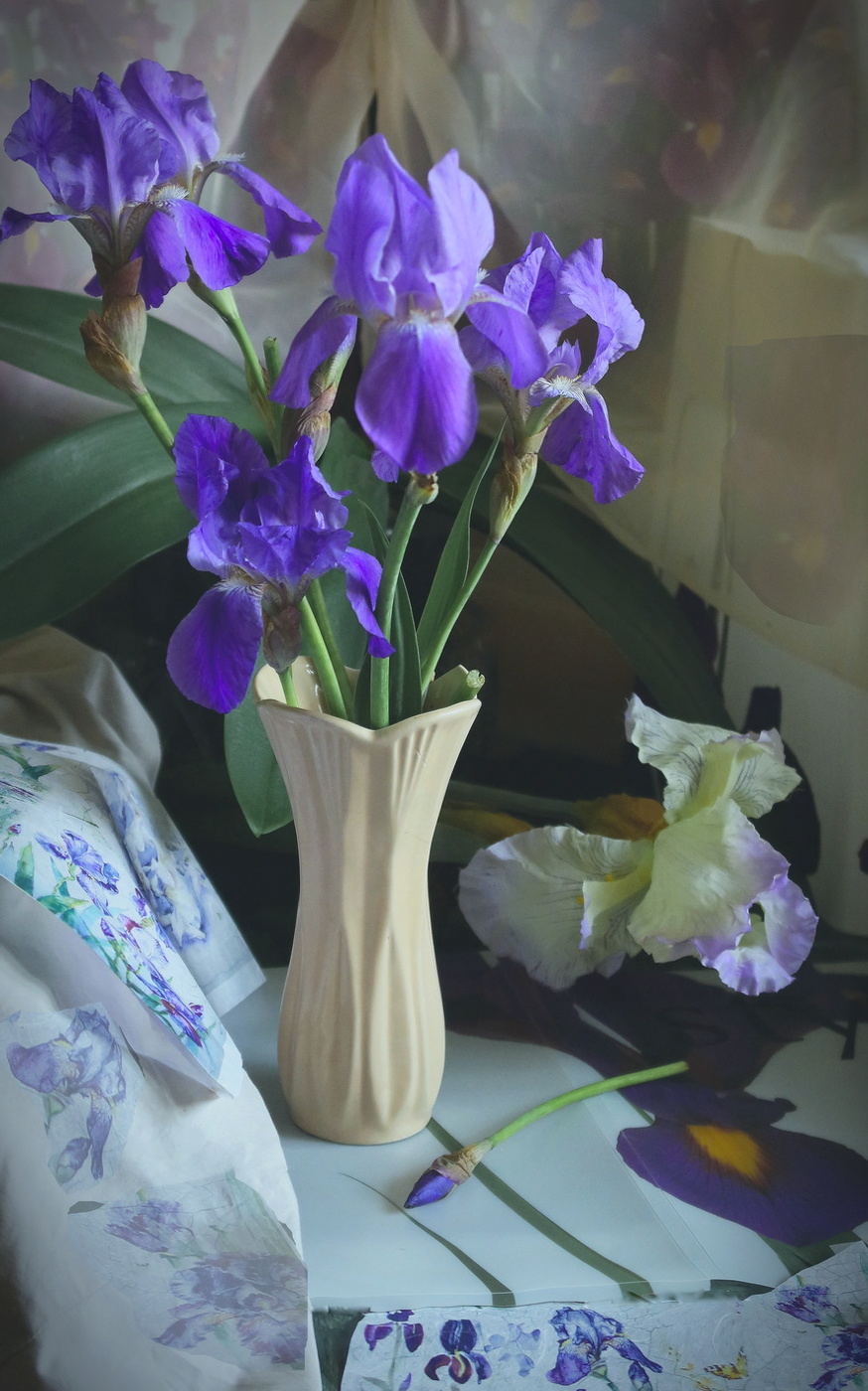 Любимые ирисы