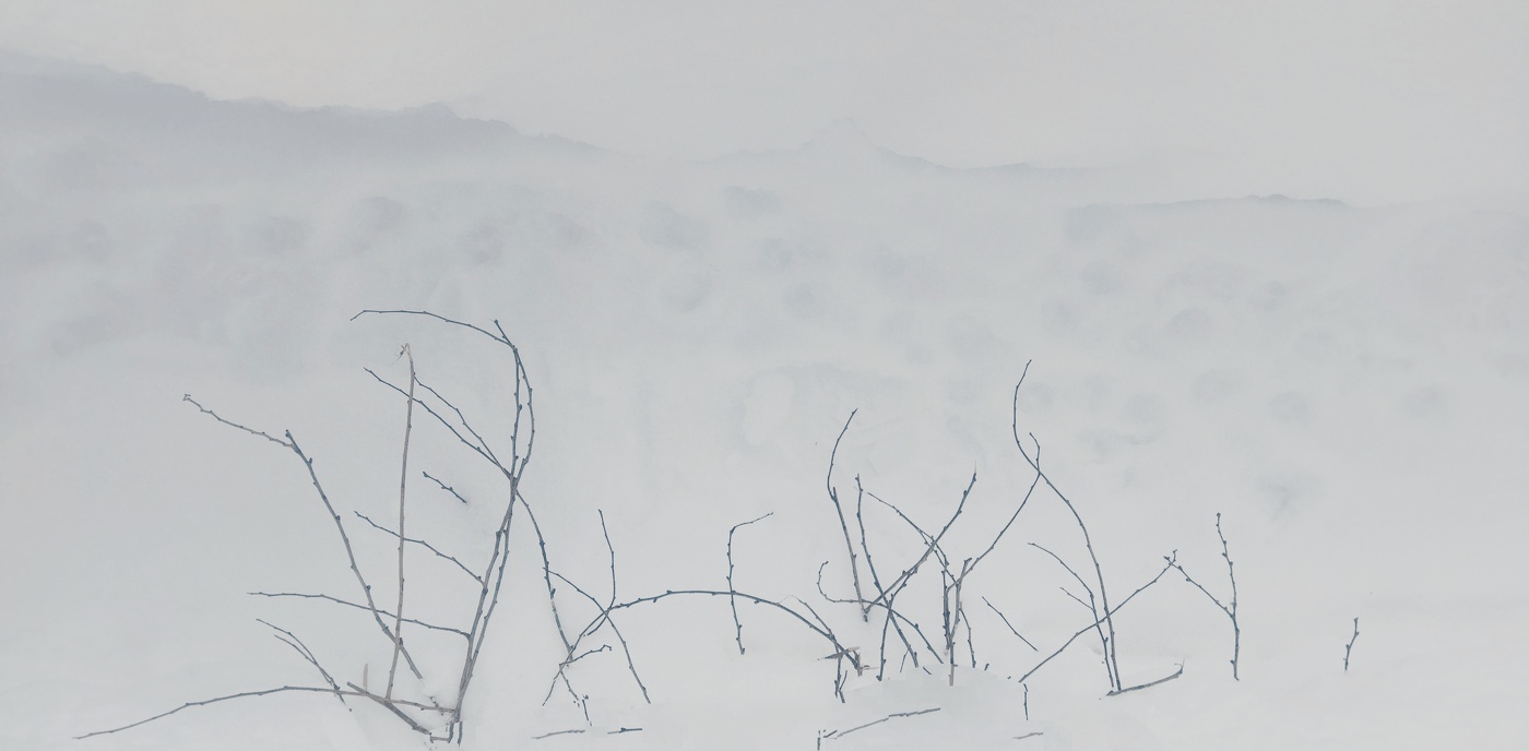 искусстовное