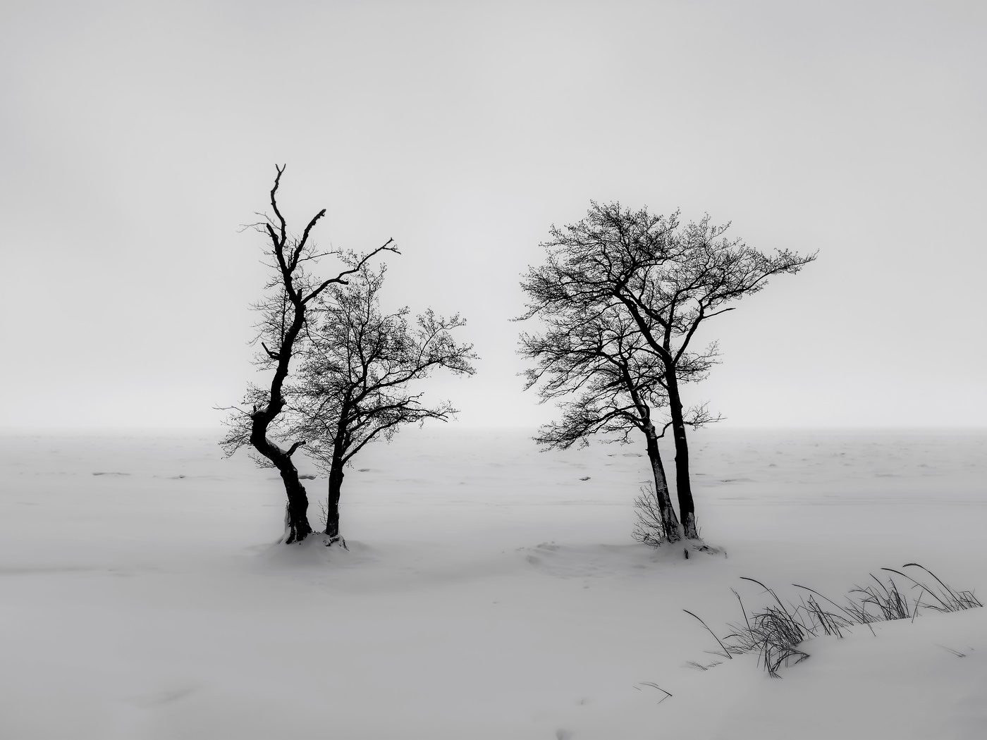 Зима на Финском заливе