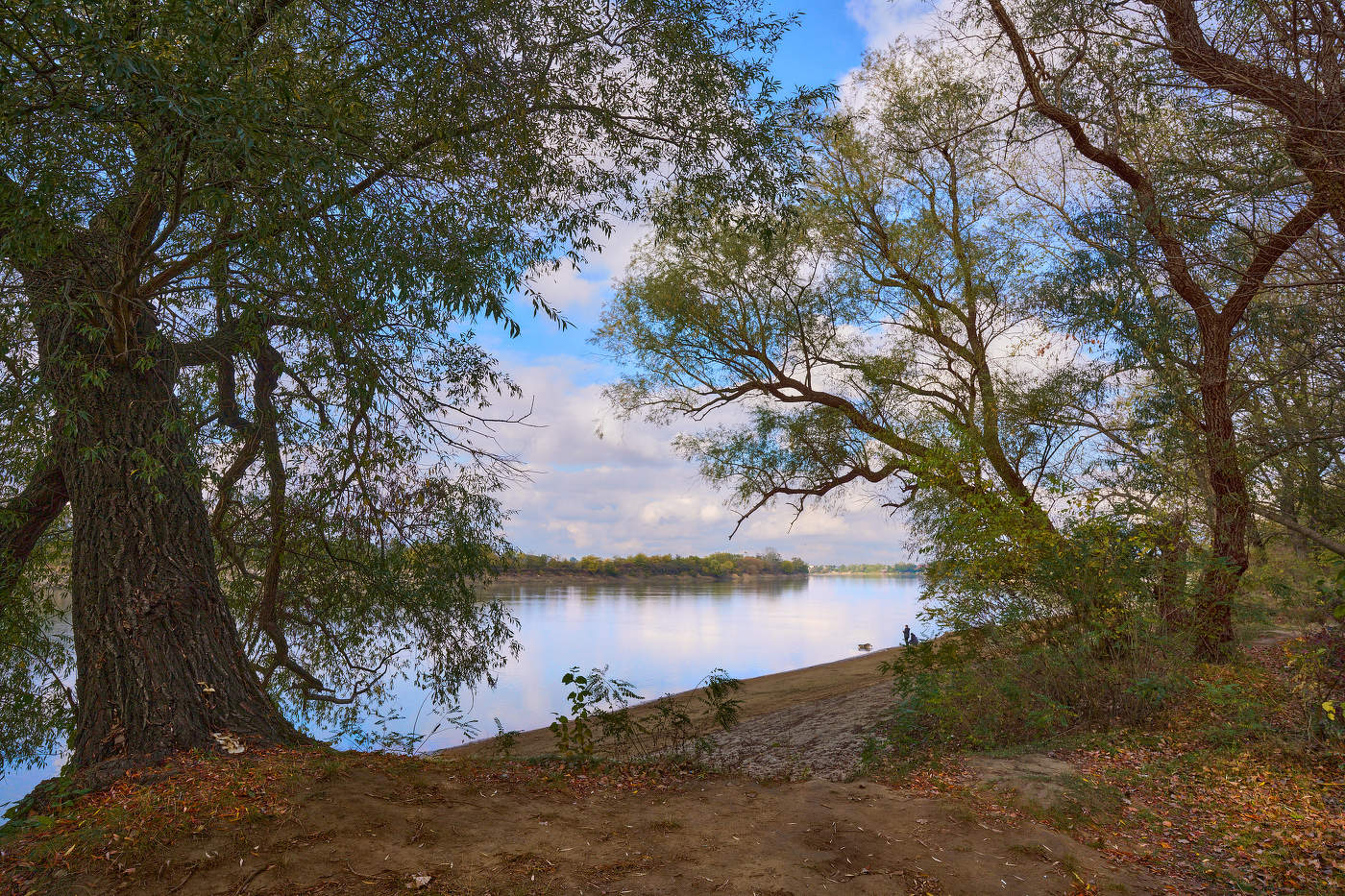 вот и Осень