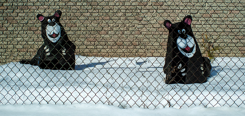 Двое из ларца.