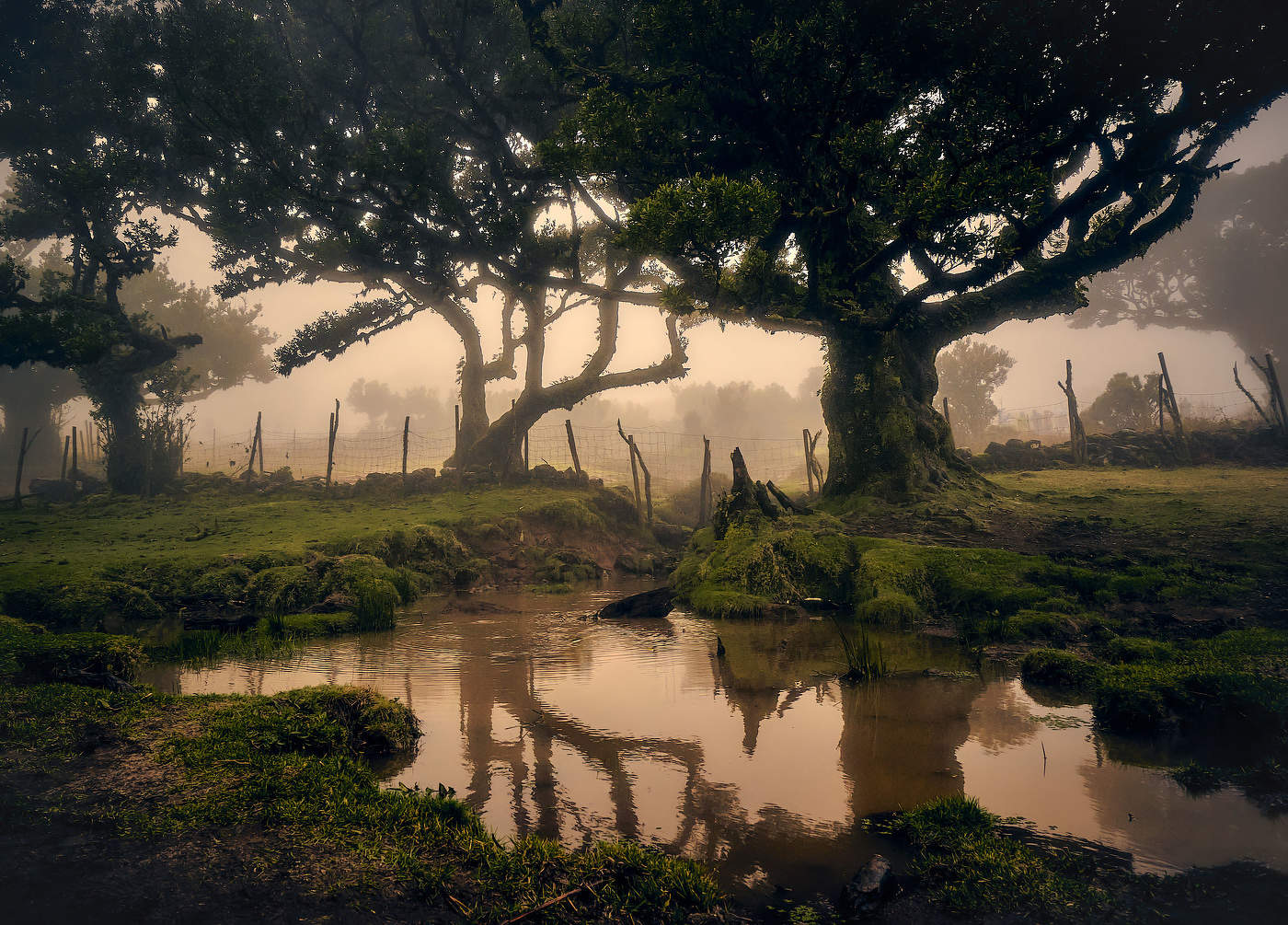 Волшебство Португалии...
