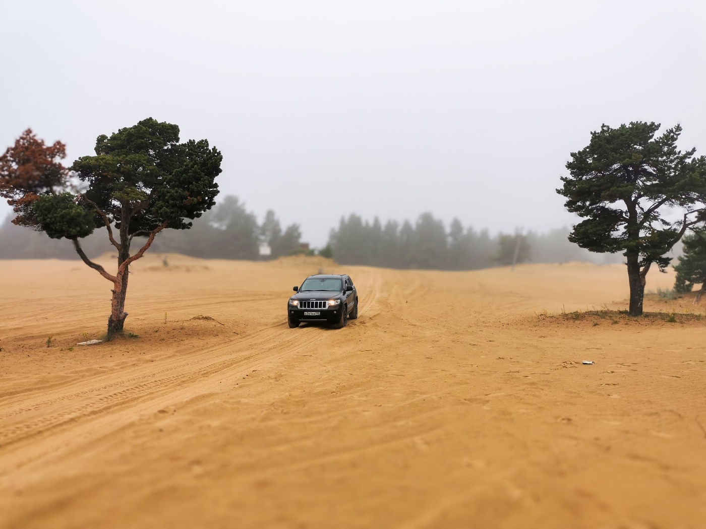 Один в пустыне