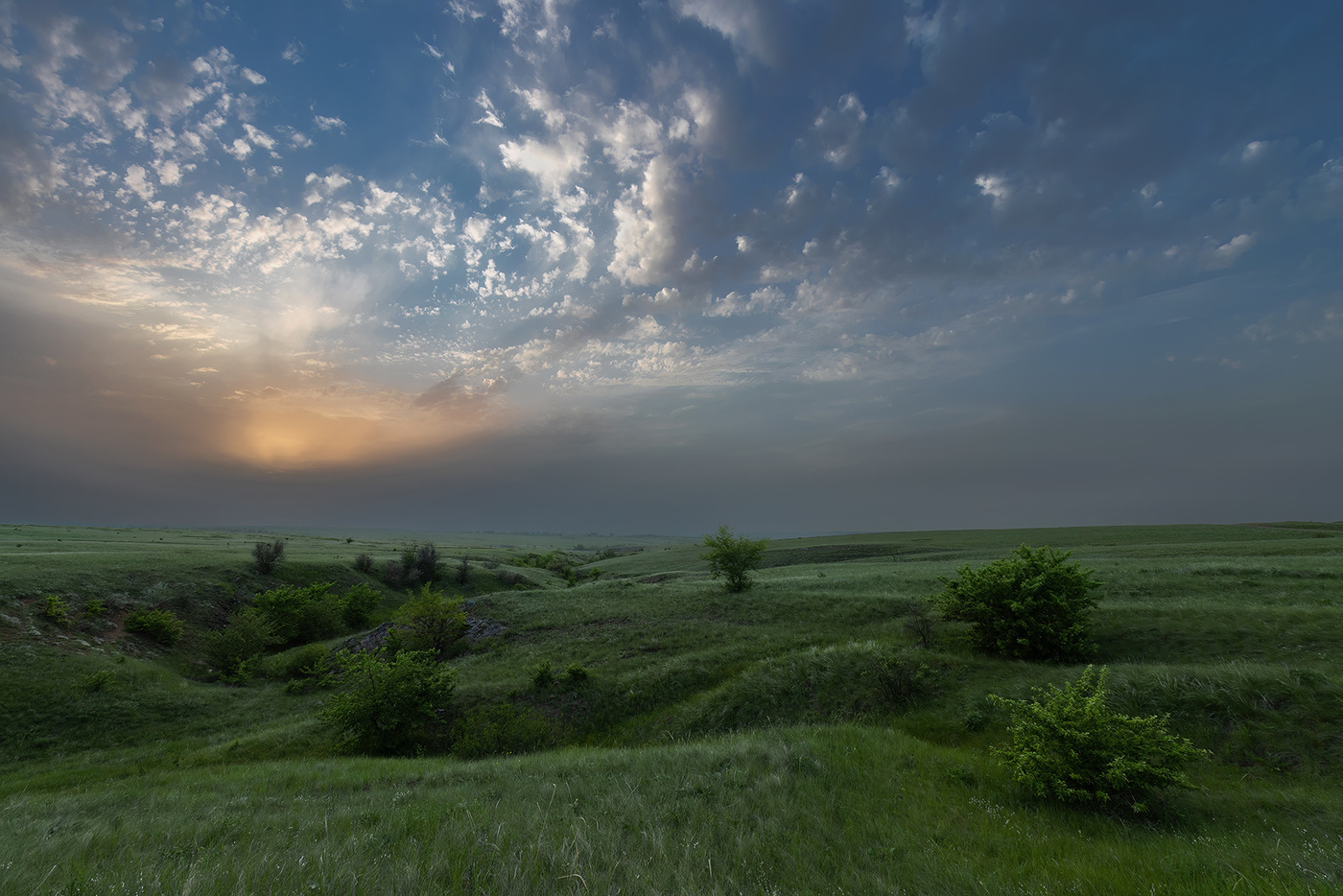 Изумрудная степь