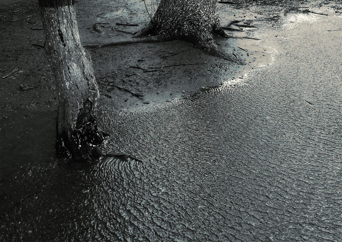 шагреневая кожа