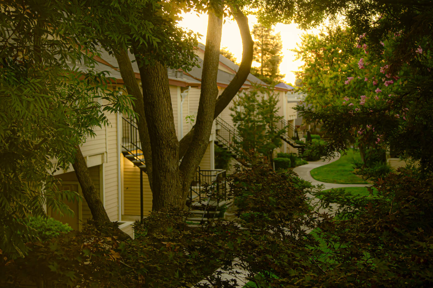 Золотой час