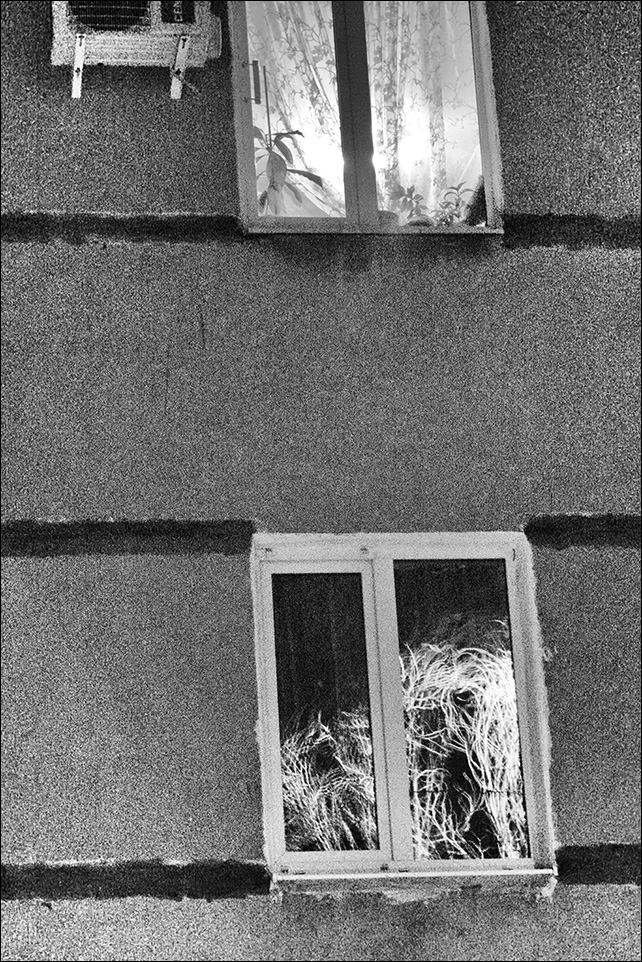 утренний этюд с фрагментом сплит-системы и растениями. комнатными и не очень.