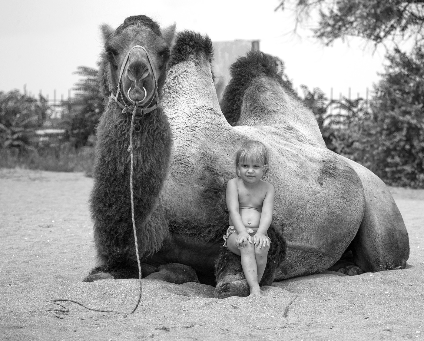 Поедем, красотка...