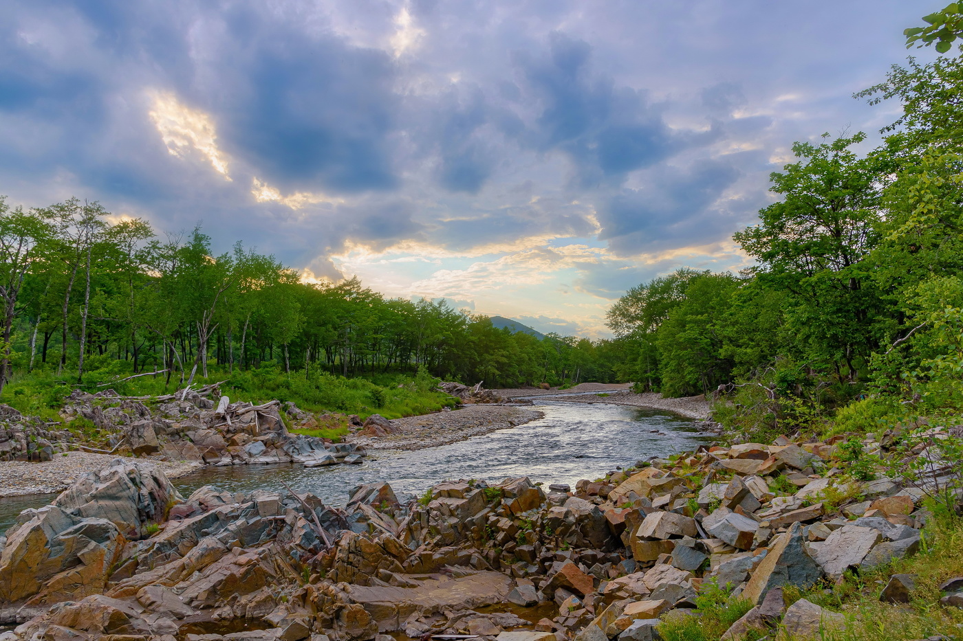 Летний вечер