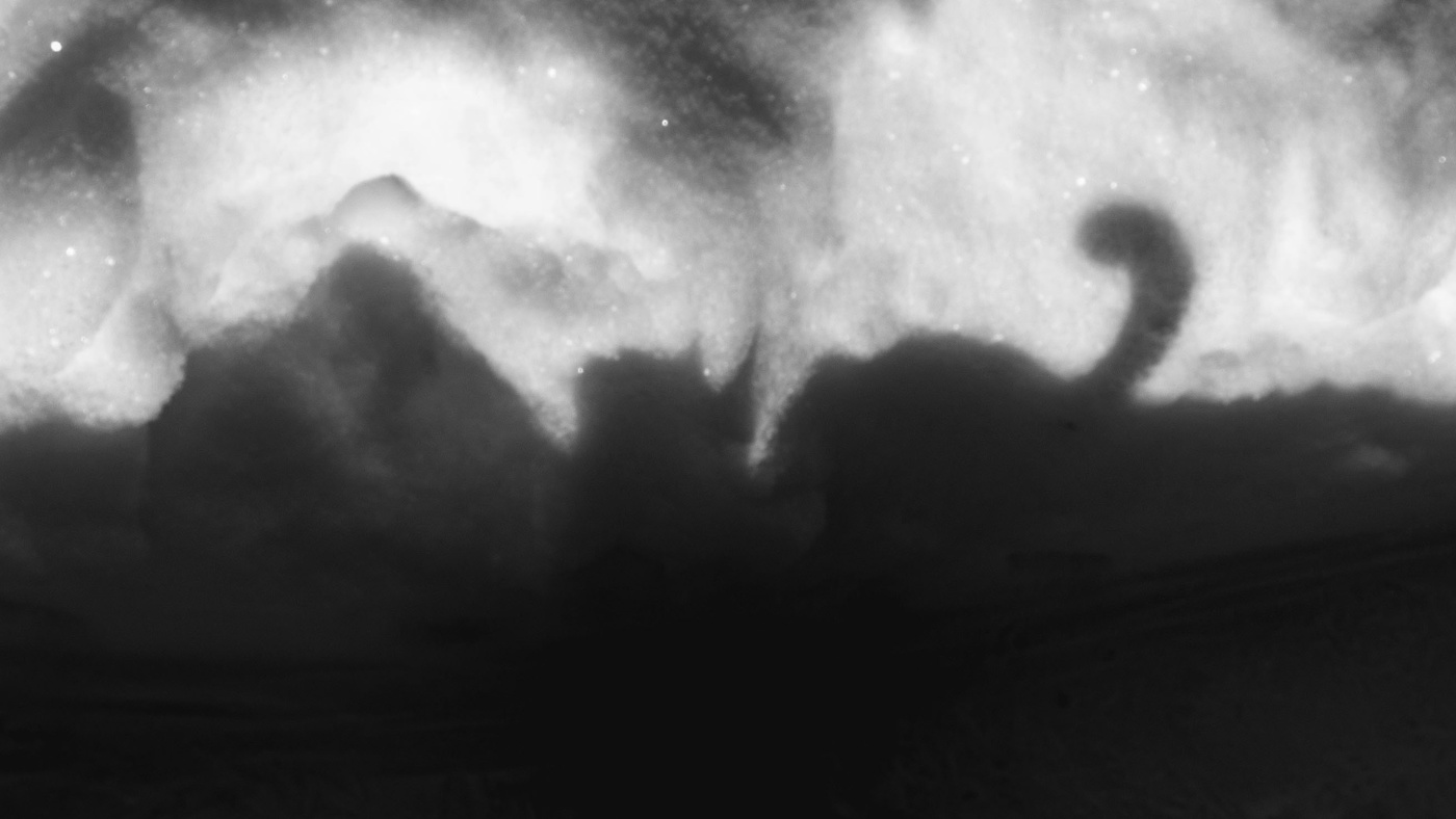 Жизнь вокруг