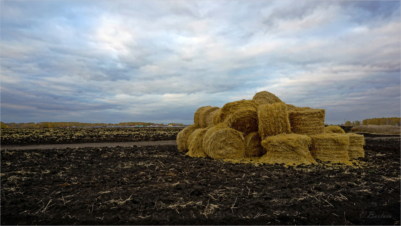 В поле осеннем