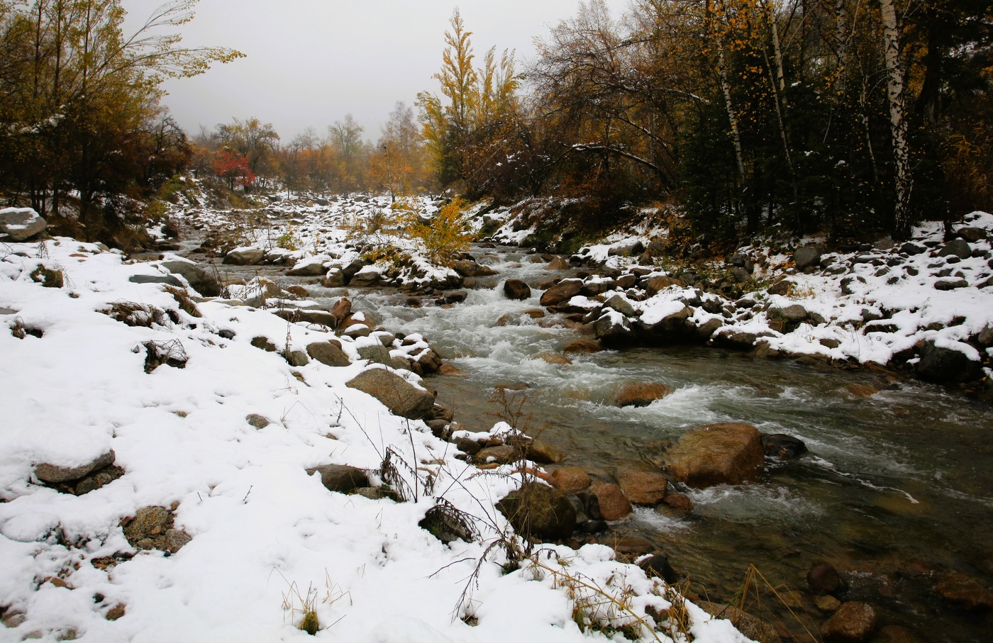 Брошенные осенью