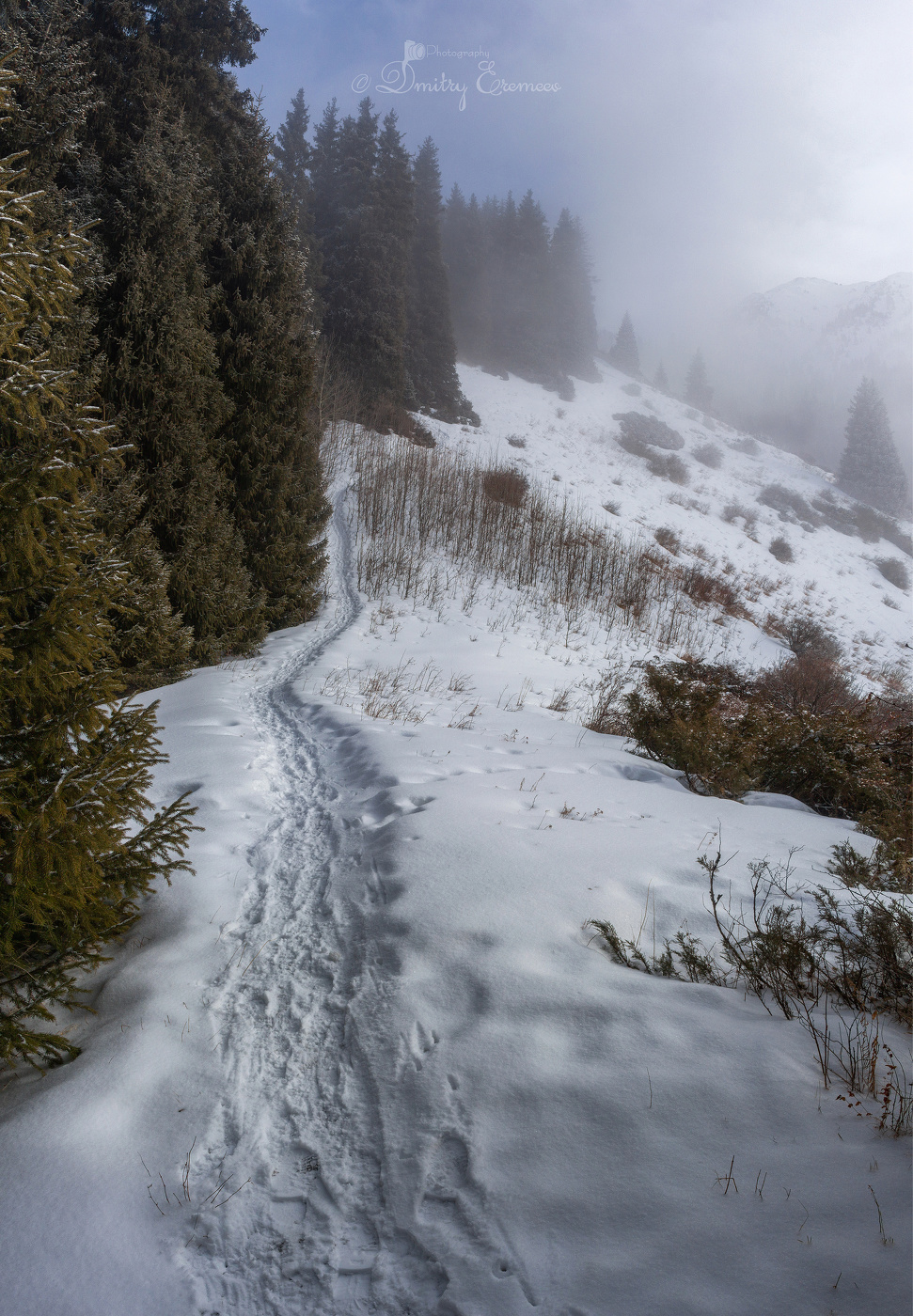 Горными тропами...