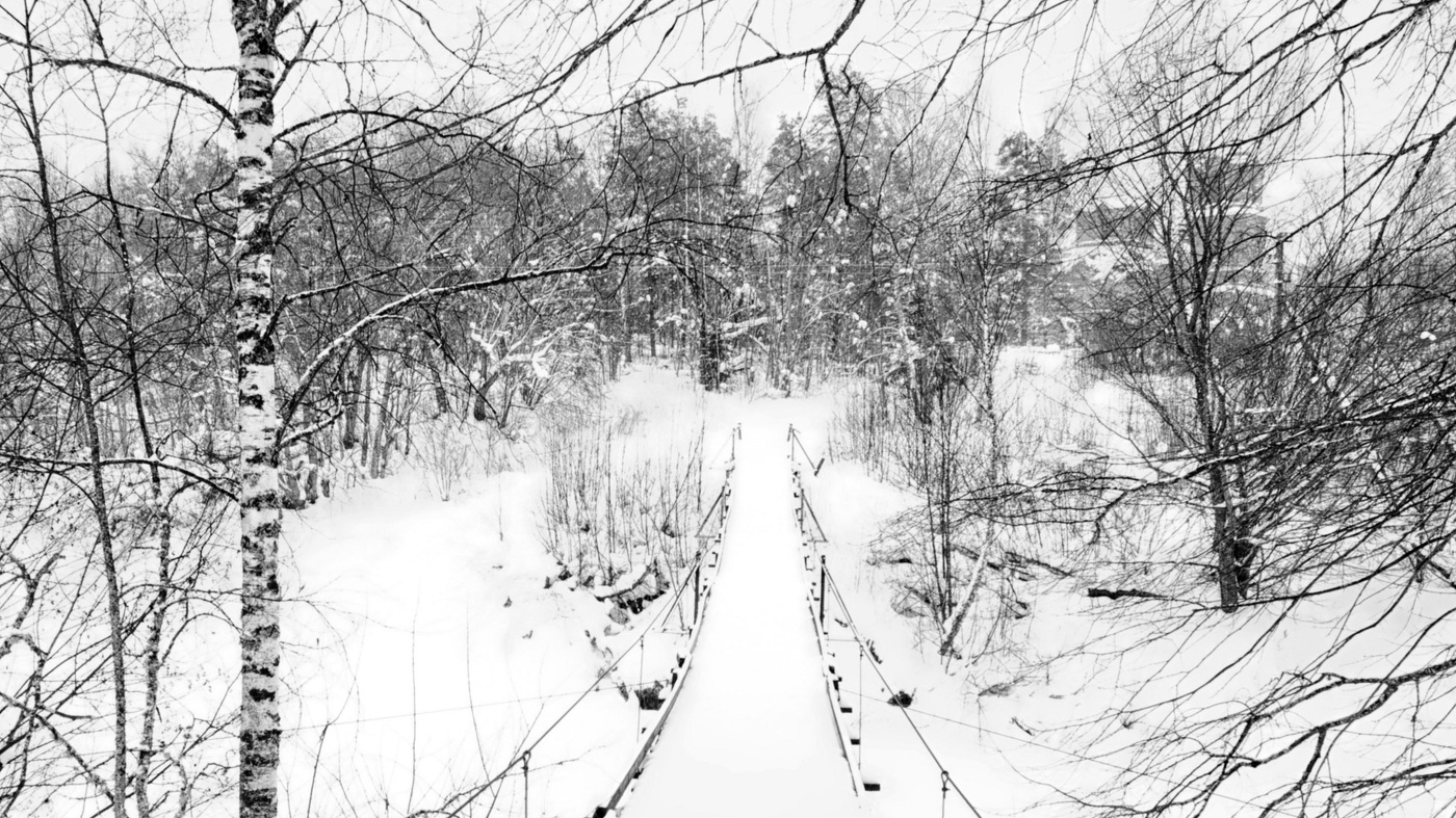 Жизнь вокруг