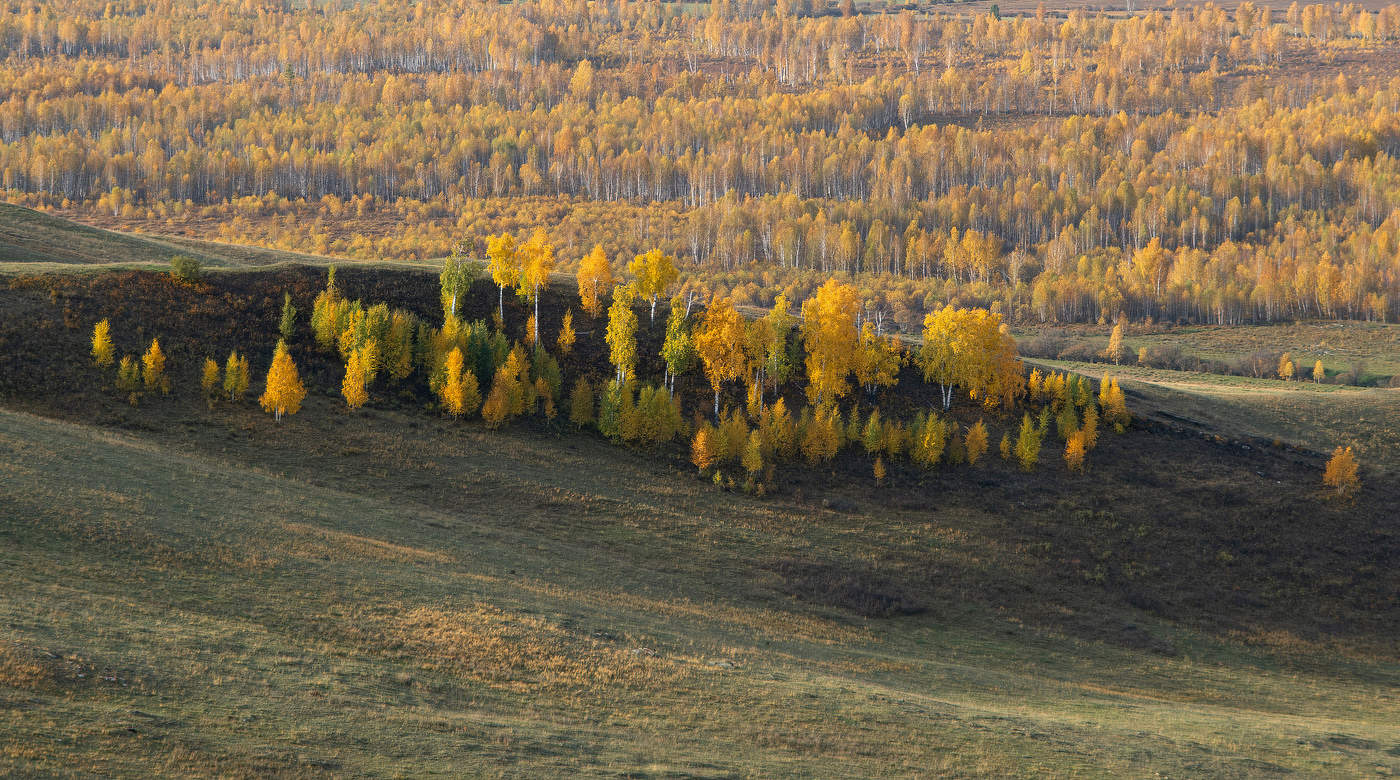Уголок осени