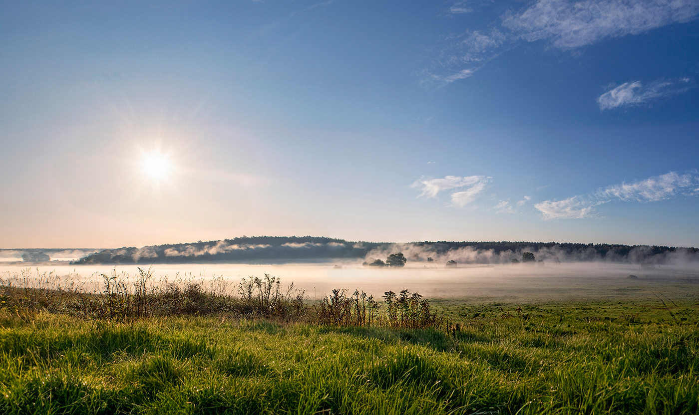Туманная лощина