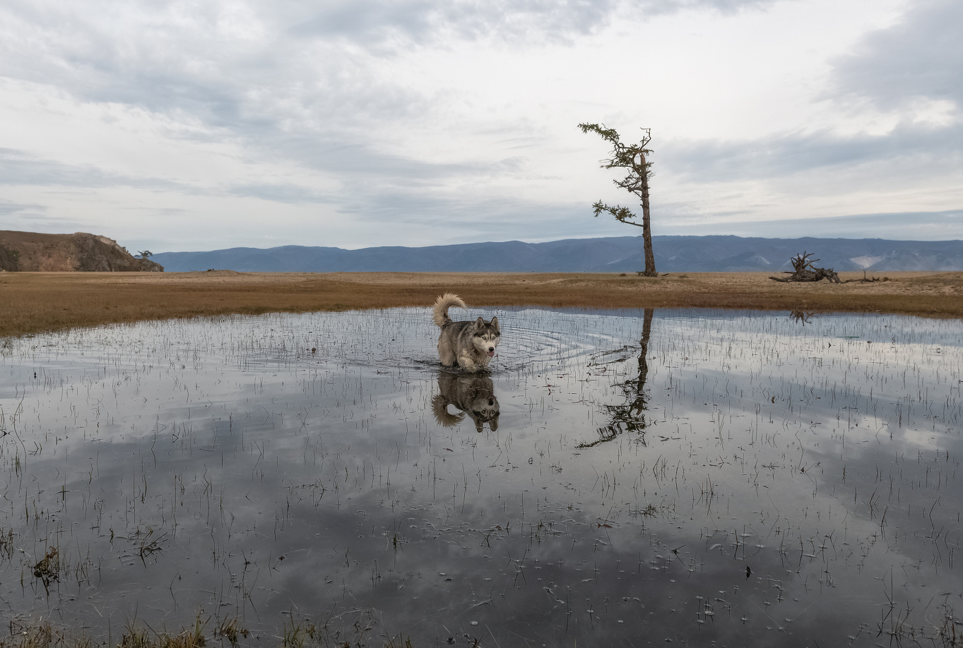 Хозяин Сарайского пляжа