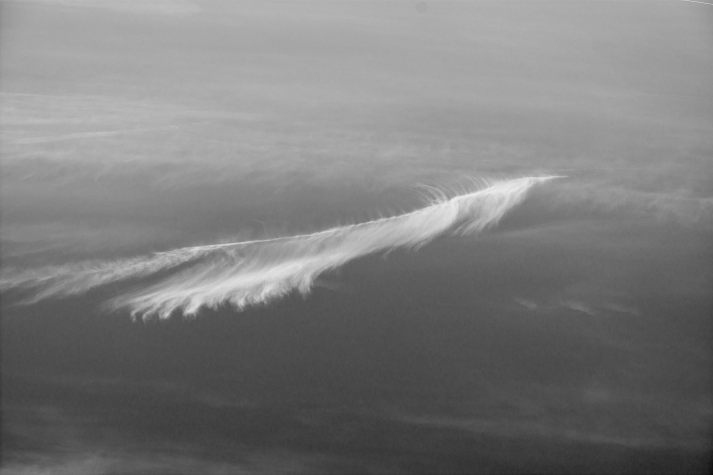 Жизнь вокруг