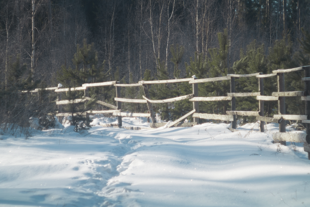 Зимняя тропинка